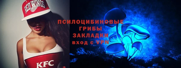 крисы Ельня