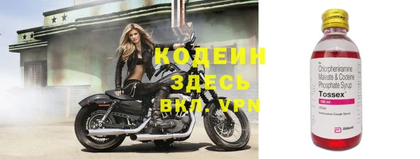 крисы Ельня