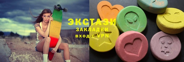 крисы Ельня