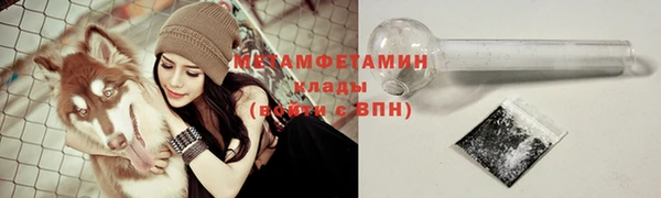 крисы Ельня